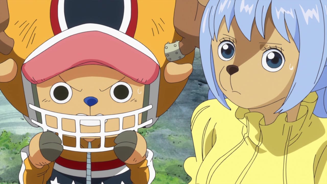 ワンピース ゾウ編 無料動画 ONE PIECE ワンピース 18THシーズン
